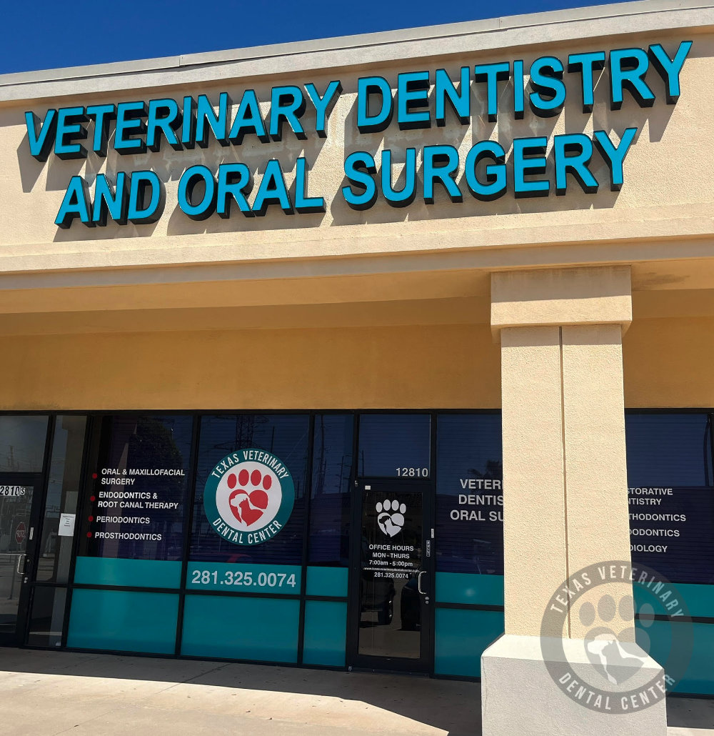 Texas Veterinary Dental Center