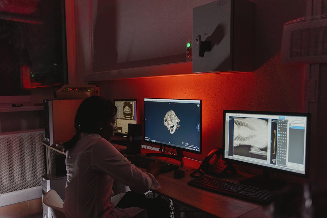 veterinarian looking at cbct scan