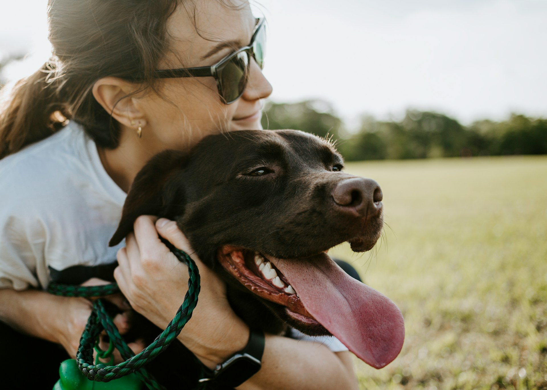 Financing should never stand in the way of a pet getting the care they need. We accept CareCredit for procedures like pet tooth extractions.